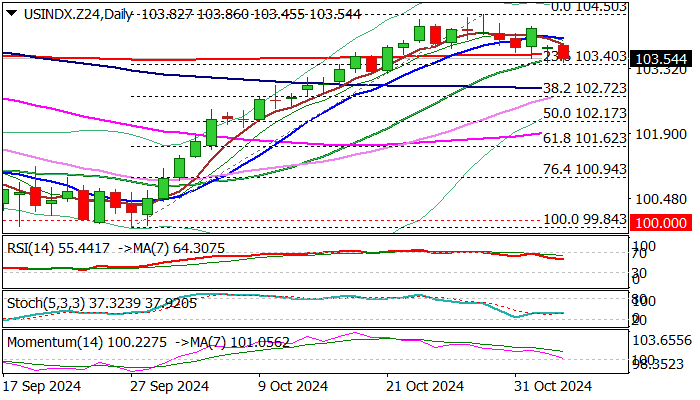 波罗的海干散货运价指数结束连续13日上涨